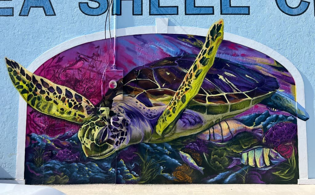 Case study — sea turtle and coral reef mural, SEA SHELL C…