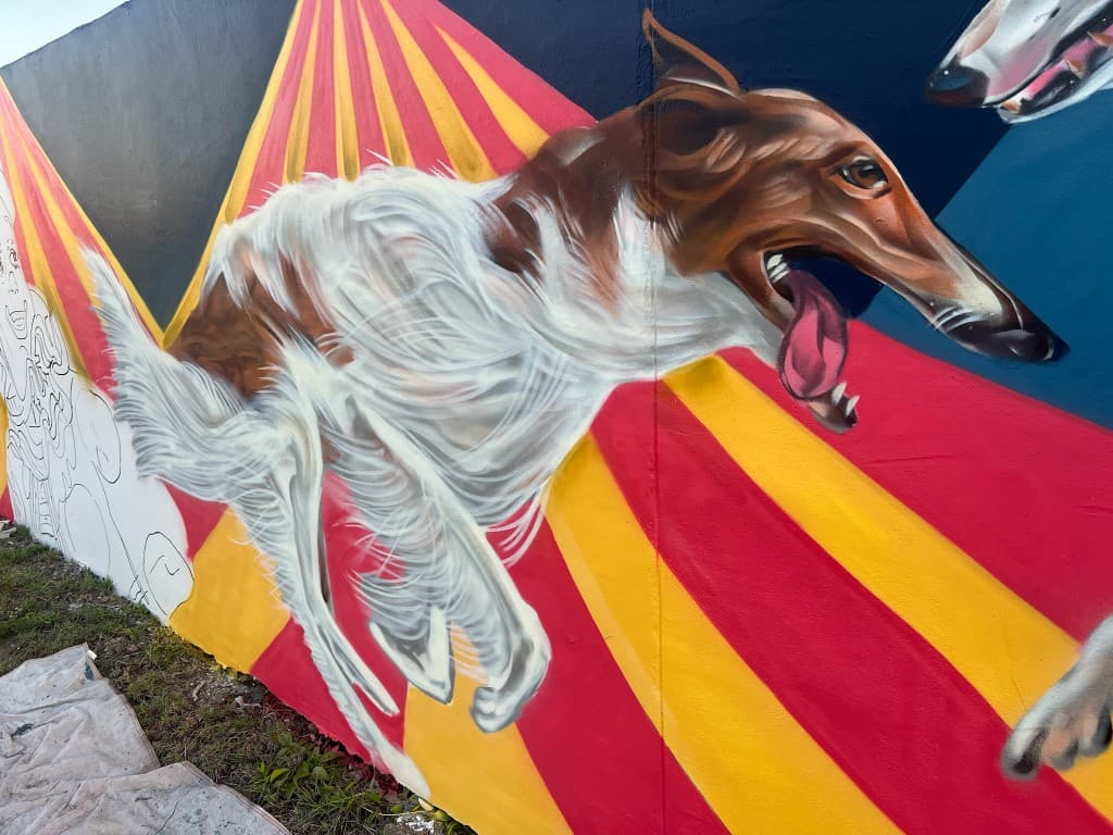 Venice Beach Circus - Borzoi in motion against circus tent stripes