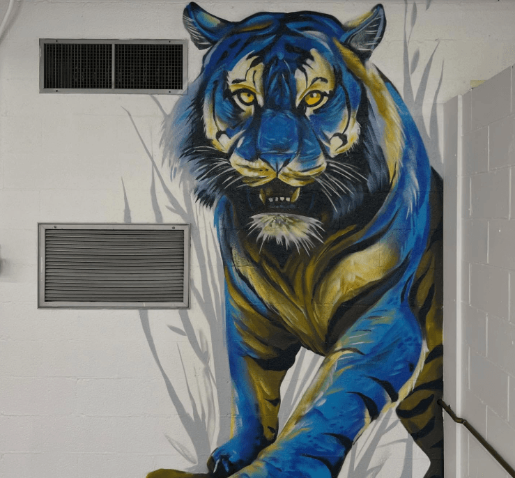 Tiger artwork from the Clewiston Tigers locker room mural designed by Mark Francis of Bulk Styles