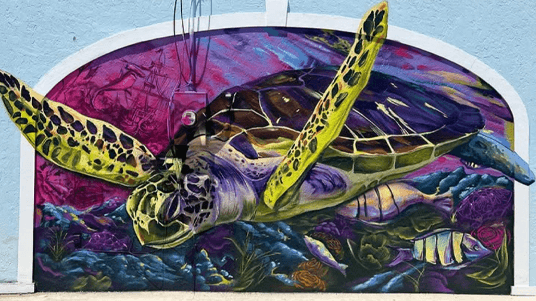 Completed sea turtle mural—final delivery and lasting visual asset