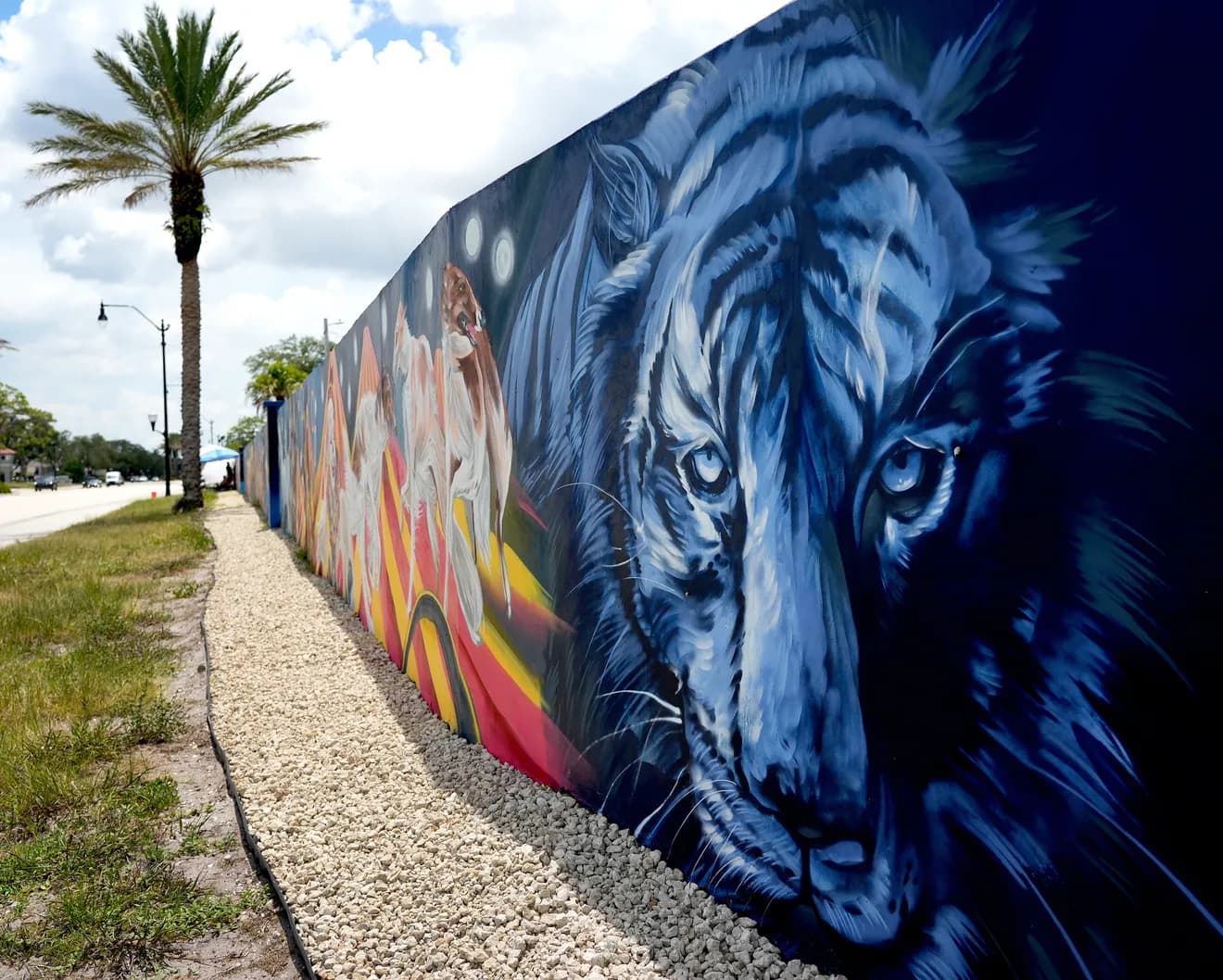 Venice Beach Circus - Tiger Detail