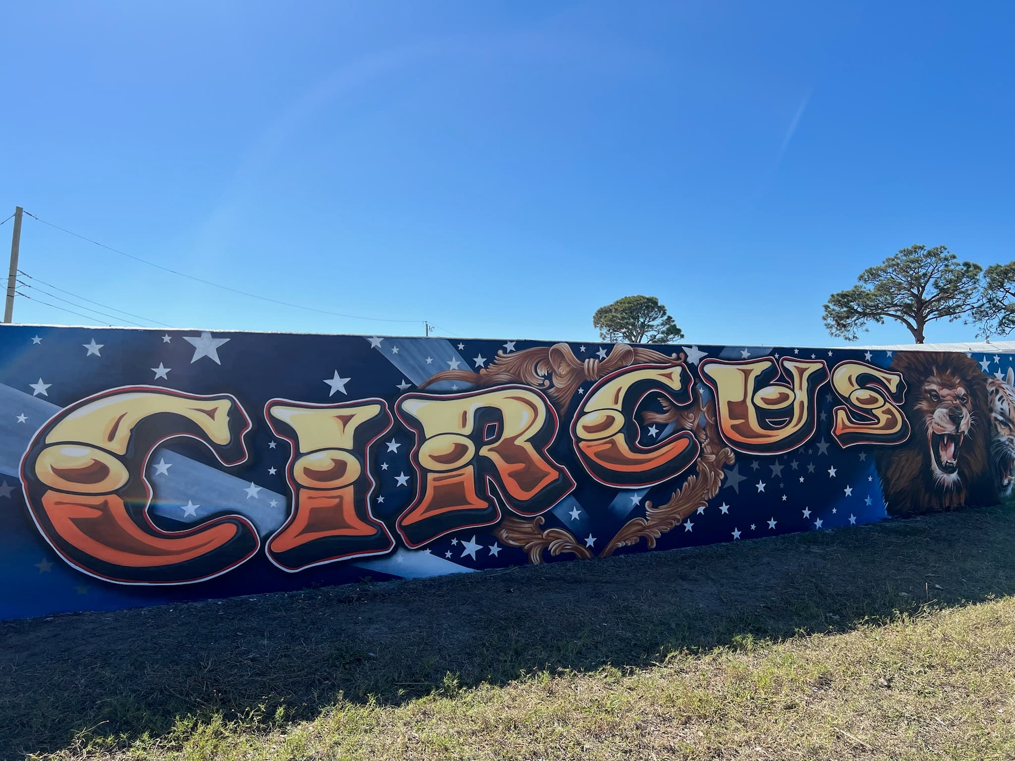 Large circus themed mural with bold CIRCUS lettering and lion artwork painted by Mark Francis of Bulk Styles
