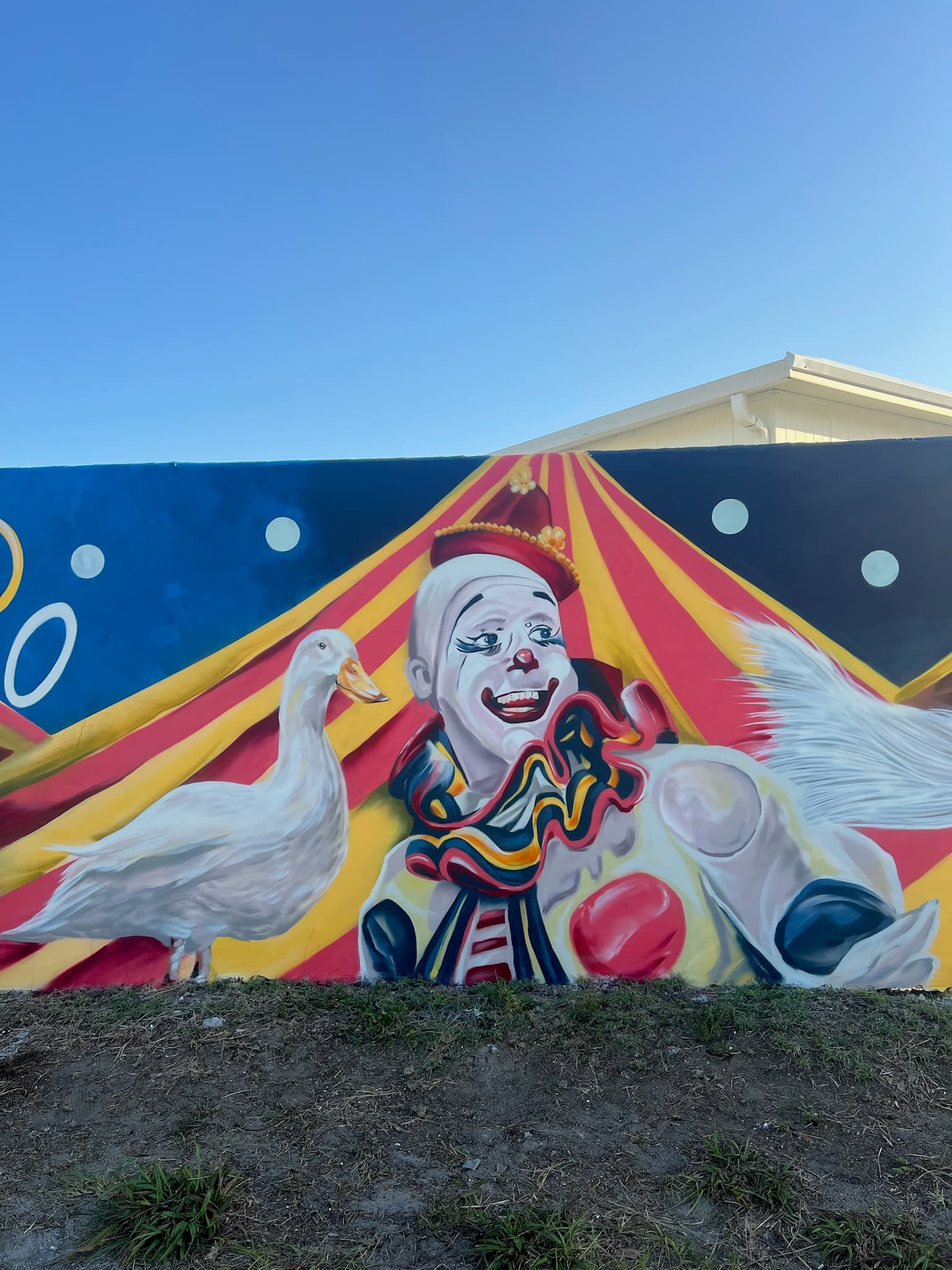 Circus themed mural with a clown and white duck in front of a striped circus tent painted by Mark Francis of Bulk Styles