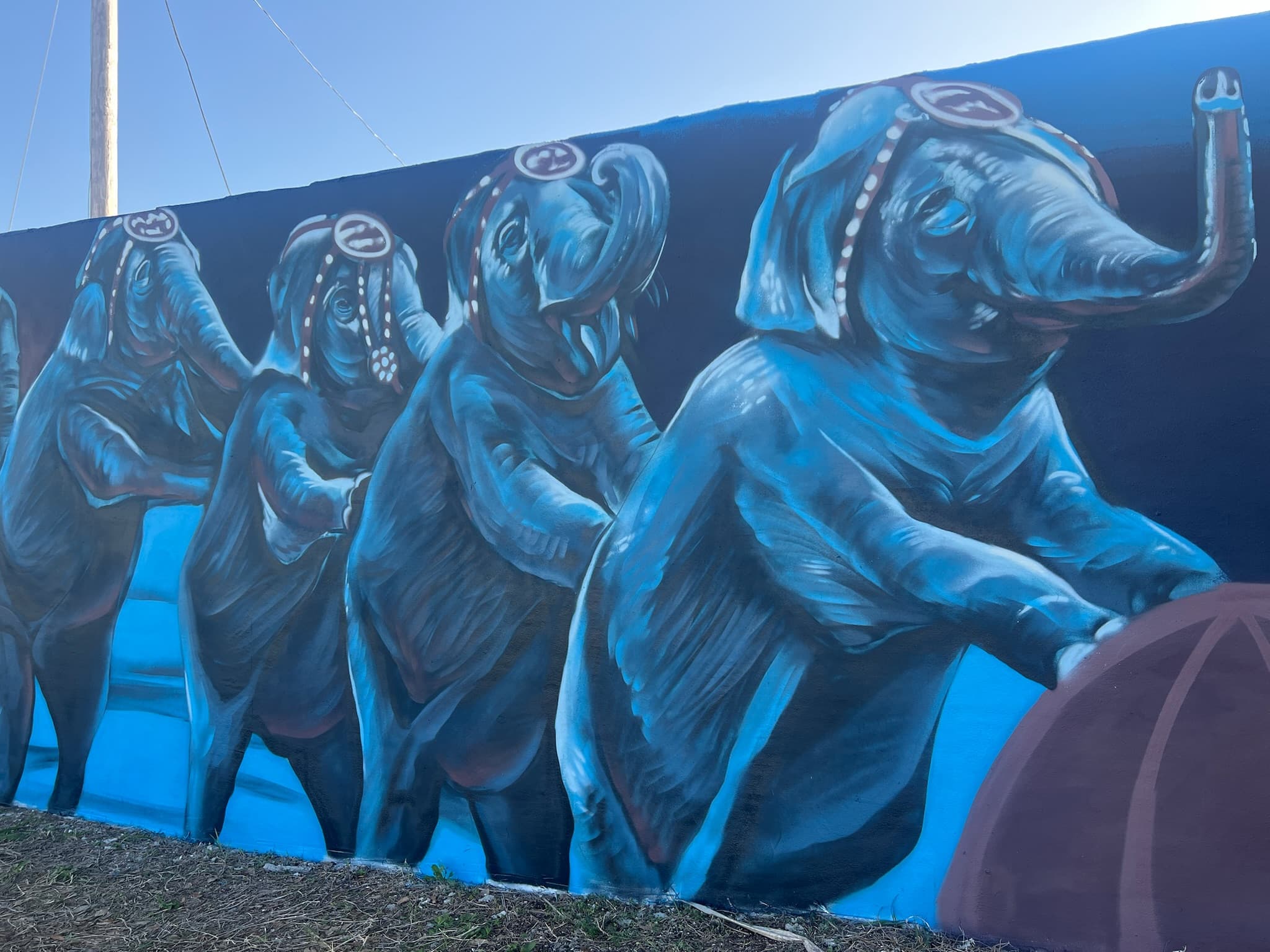 Circus themed mural with elephants balancing on a ball painted by Mark Francis of Bulk Styles