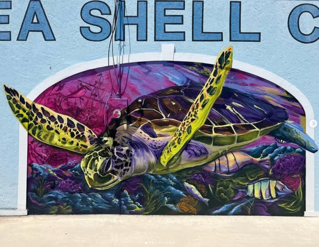 sea turtle mural at Sea Shell City painted by mural artist Mark Francis Bulk Styles